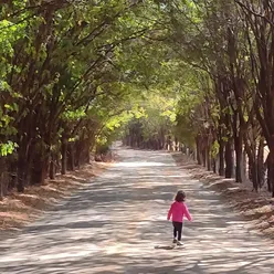 Se Esta Rua Fosse Minha