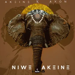 Niwe Akeine