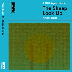 The Sheep Look Up