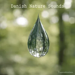 River nature sound (Egebæk, Denmark)