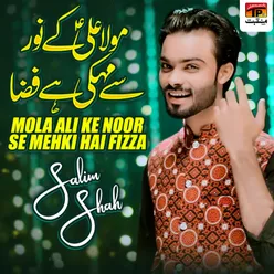 Mola Ali Ke Noor Se Mehki Hai Fizza - Single