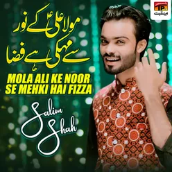 Mola Ali Ke Noor Se Mehki Hai Fizza