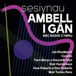 Beuno a'r Gylfinir/Ffarwel i Gymru