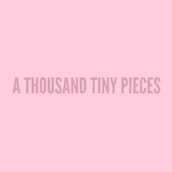 A Thousand Tiny Pieces (Revisited) Single