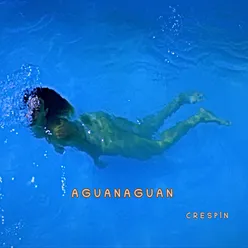 Aguanaguan
