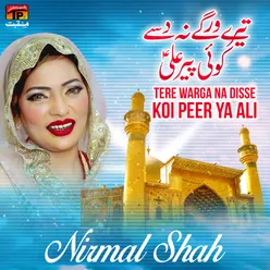 Tere Warga Na Disse Koi Peer Ya Ali - Single