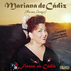 Fiesta en Cádiz