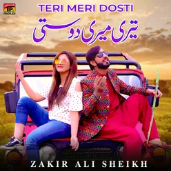 Teri Meri Dosti - Single