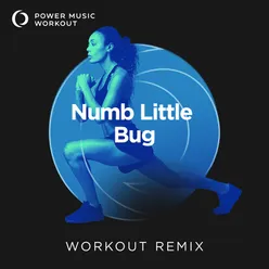 Numb Little Bug Workout Remix 128 BPM