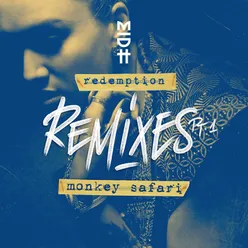 Unstoppable Monkey Safari Remix
