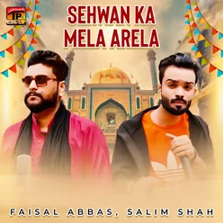 Sehwan Ka Mela Arela - Single