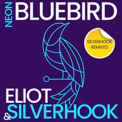 Neon Bluebird Silverhook Remixes