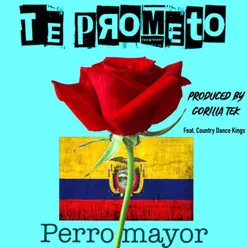 Te Prometo