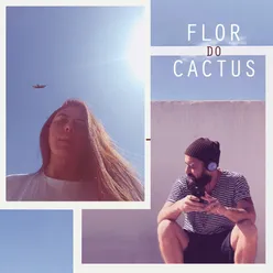 Flor do Cactus