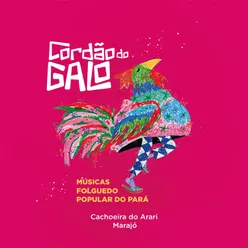 Músicas Folguedo Popular do Pará