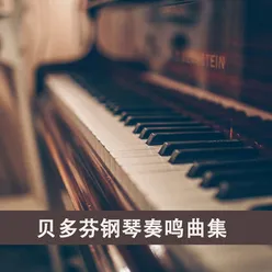 G大调第25号钢琴奏鸣曲“杜鹃”, Op. 79, 第二乐章