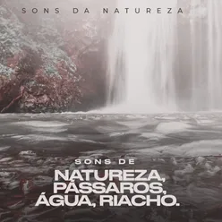 Sons de Natureza,Pássaros,água,Riacho