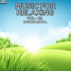 Music for Relaxing, Vol. 19