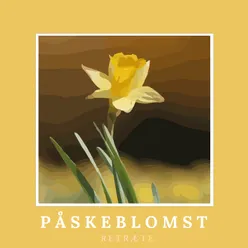 Påskeblomst! Hvad vil du her?