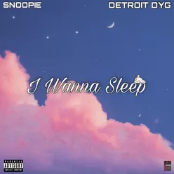 I Wanna Sleep - Single