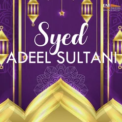 Syed Adeel Sultani