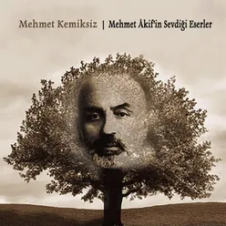 Mehmet Akif'in Sevdiği Eserler