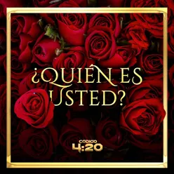 ¿Quién Es Usted?