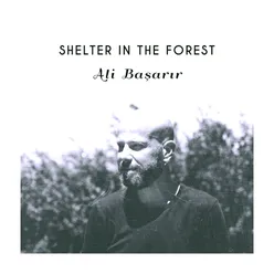 Shelter In The Forest