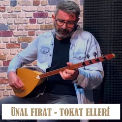 Tokat Elleri