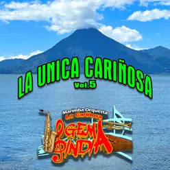 La Unica Cariñosa, Vol. 5