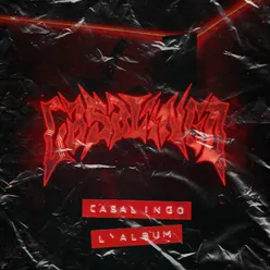 CASALINGO L'ALBUM