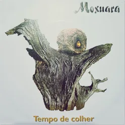 Tempo de Colher