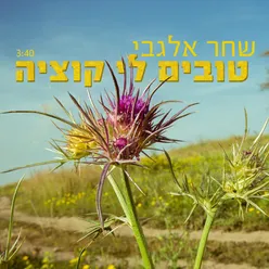 טובים לי קוציה