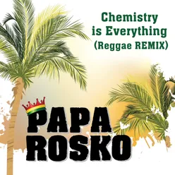 Chemistry is Everything (Reggae Remix)