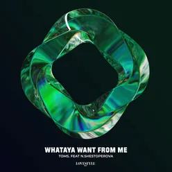 Whataya Want from Me Extended Mix