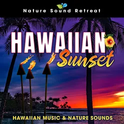 Tropical Sunset Lounge - Beachcomber's Guitar Music & Ocean Wave Sounds (Loopable)