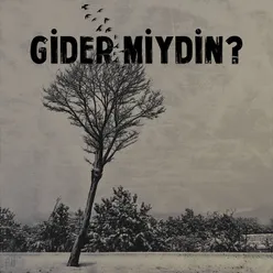 Gider Miydin?