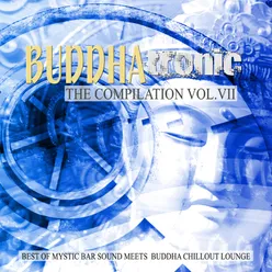 Buddhatronic - the Compilation, Vol. VII (Best of Mystic Bar Sound Meets Buddha Chill out Lounge)