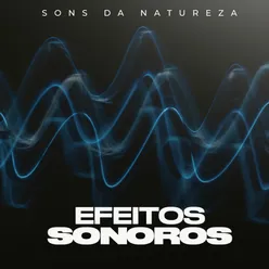 Efeitos Sonoros