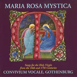 Maria Rosa Mystica