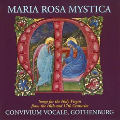 Gradualia ac cantiones sacrae, Liber 1 : No. 10, Beata es, Virgo Maria