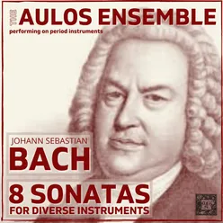 Flute Sonata in B Minor, BWV 1030: (Andante) Arr. by The Aulos Ensemble for Oboe and Harpsichord, originally written by J.S. Bach in G Minor