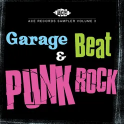 Ace Records Sampler Vol. 3: Garage, Beat and Punk Rock