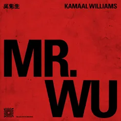 Mr. Wu