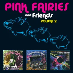 The Pink Fairies and Friends, Vol. 2