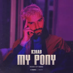 My Pony (R3HAB VIP Remix)