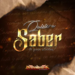 Quisiera Saber (Te Quise Olvidar)