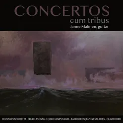 Concerto for Lute : Allegro