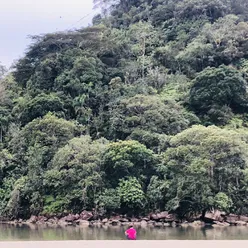 Rio Escuro Ao Vivo