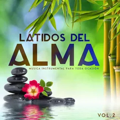 Latidos del Alma, Vol.2